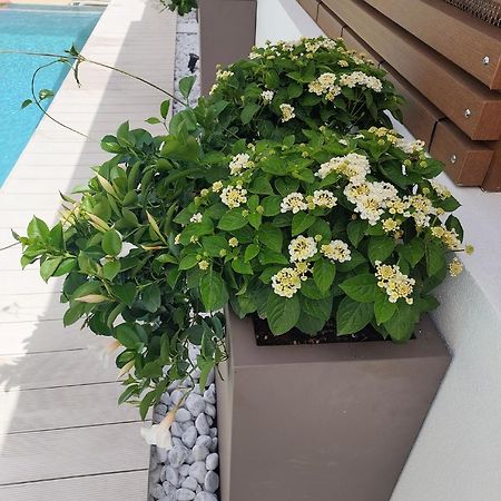 Hotel Nettuno Cala Gonone Luaran gambar